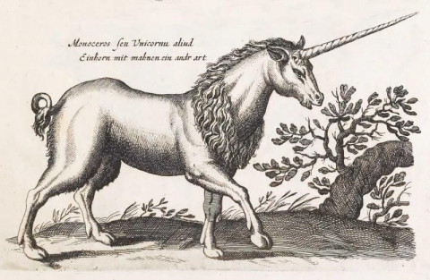 Image of a unicorn from Historiae naturalis de quadrupedibus libri : cum aeneis figuris by Jonstonus, Joannes, 1603-1675