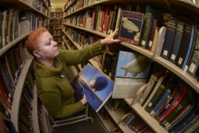 Librarian Shelving books