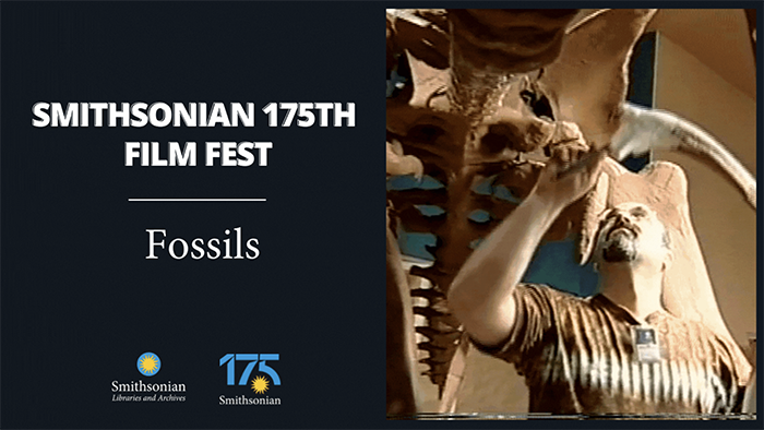 Graphic for Fossil Film Fest