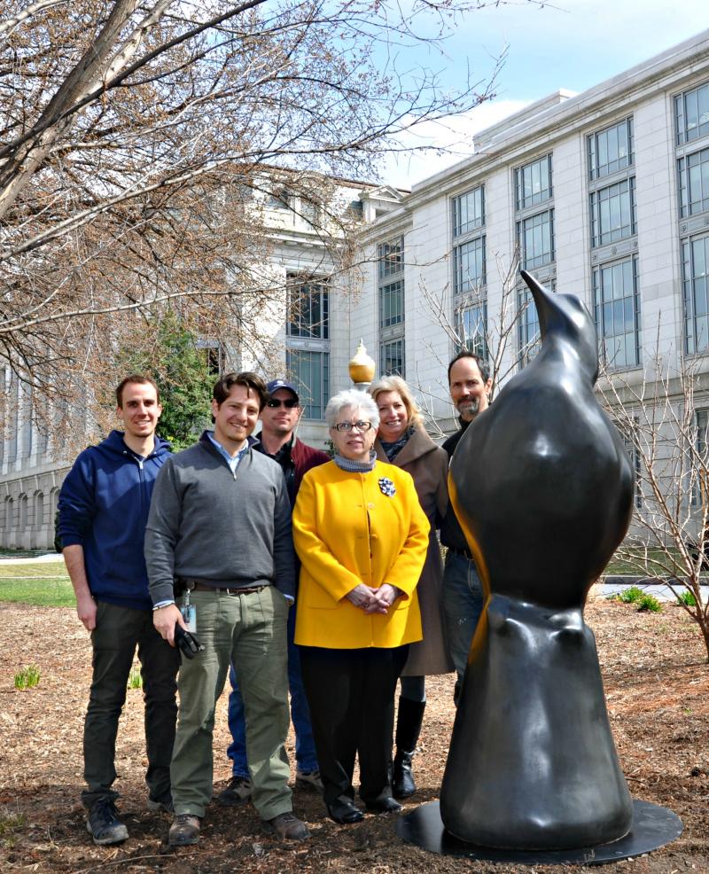 Installing the Passenger Pigeon sculpture at the National Museum of Natural History