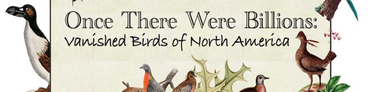 Once There Were Billions