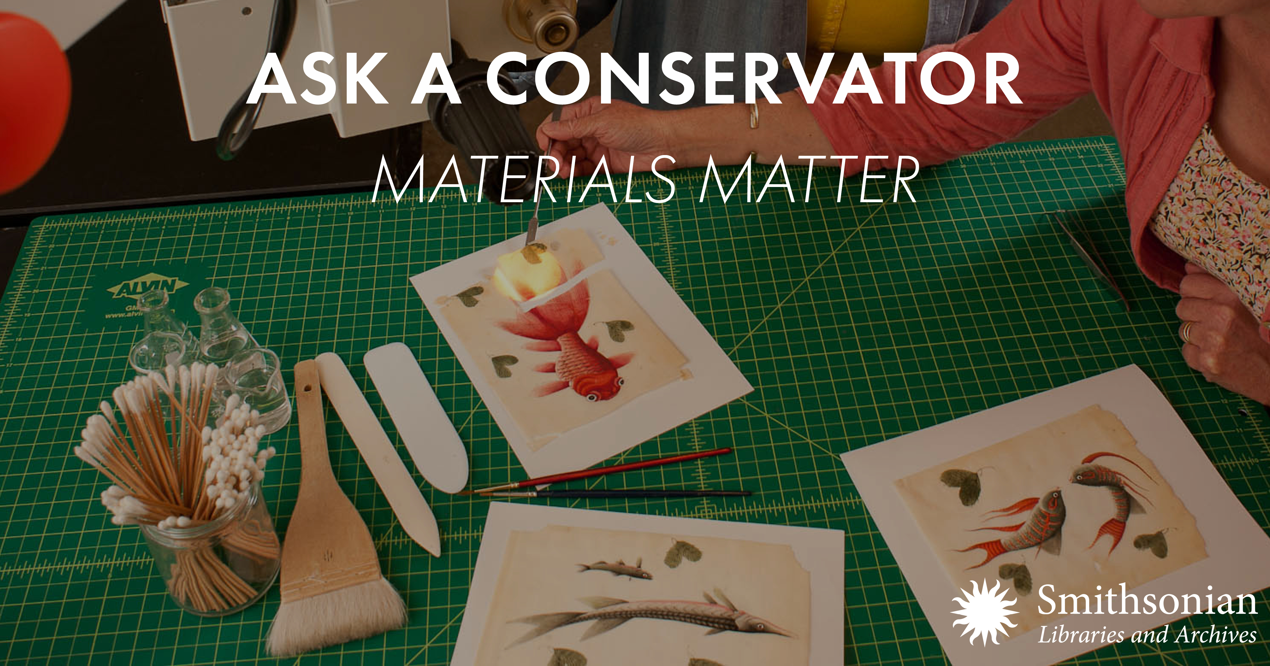 Plates from an illustrated book being treated by conservator