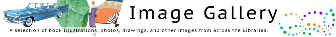 Image Gallery Homepage banner