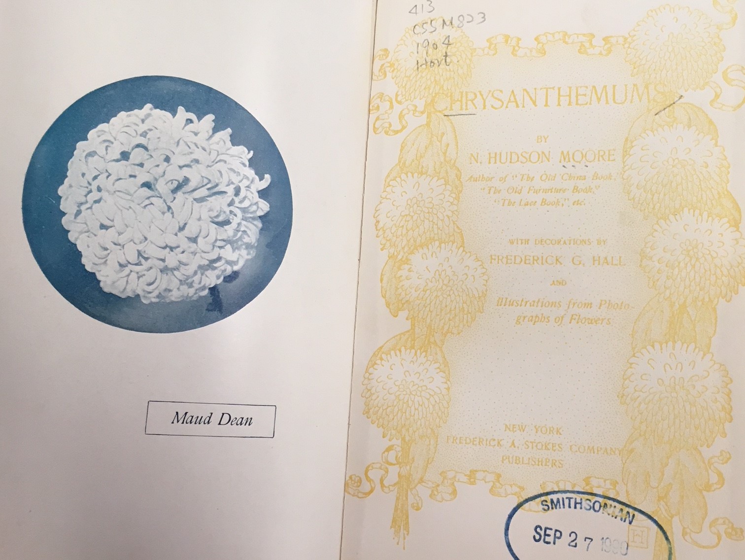chrysanthemum picture book