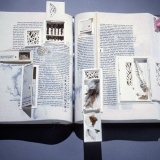 Science and the Artist's Book