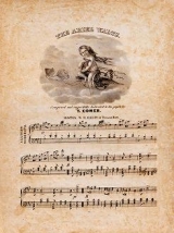 Cover of The ariel waltz