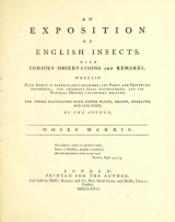 Cover of An exposition of English insects