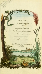 Cover of Gemeinnüzzige Naturgeschichte des Thierreichs