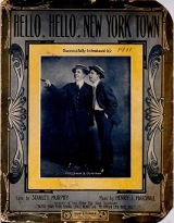 Cover of Hello, hello, New York town
