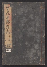 Cover of Ikebana hayamanabi v. 10