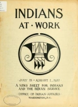 Cover of Indians at work