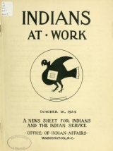 Cover of Indians at work