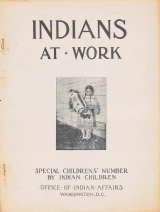 Cover of Indians at work