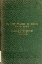 Cover of In the Maine woods