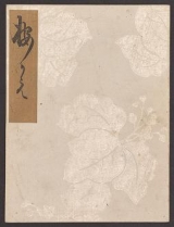 Cover of Koetsu utaibon hyakuban v. 15