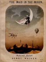 Cover of The maid in the moon