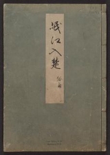 Cover of Minko nisso : [Genji monogatari shushaku] v. 47