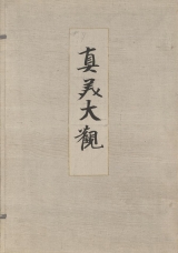 Cover of Shinbi taikan