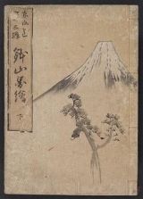 Cover of Tōkaidō gojūsantsugi hachiyama zue v. 2
