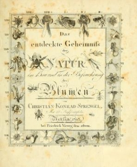 Cover of Das entdeckte Geheimniss der Natur im Bau und in der Befruchtung der Blumen