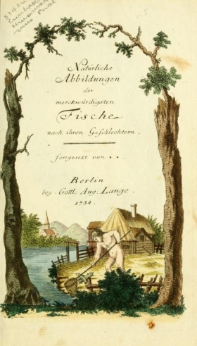 Cover of Gemeinnüzzige Naturgeschichte des Thierreichs