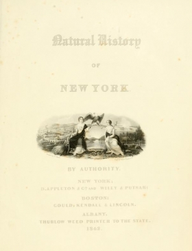 Cover of Natural history of New York