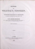 Cover of Histoire des végétaux fossiles, ou, Recherches botaniques et géologiques sur les végétaux renfermés dans les diverses couches du globe