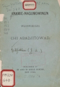 Cover of Anamie-nagumowinun wejibwemodjig chi abadjitowad