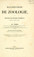 Cover of Illustrations de zoologie, ou, Recueil de figures d'animaux peintes d'après nature