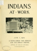 Cover of Indians at work