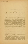 Cover of Maintenance of railways