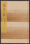 Cover of Shul,ko jisshu v. 21