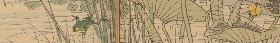 detail of a Japanese color print showing a small frog leaping into the water, with lilies and reeds