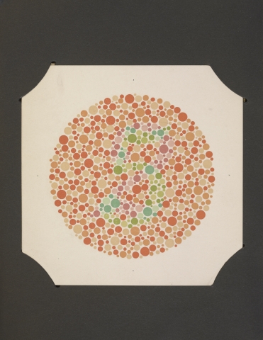 A circle made up of varying sizes of dots. The dots are colored such that a number appears to those without color blindness and the number is invisible for those with color blindness.