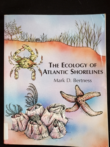 The Ecology of Atlantic Shorelines