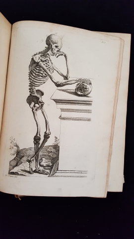 A Plate Depicting a Posed Human Skeleton, from Methode pour Apprendre le Dessein
