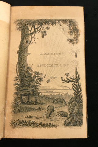 Title Page of American Entomology