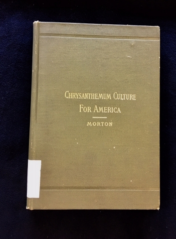 Book cover of Chrysandtheumum Culture for America