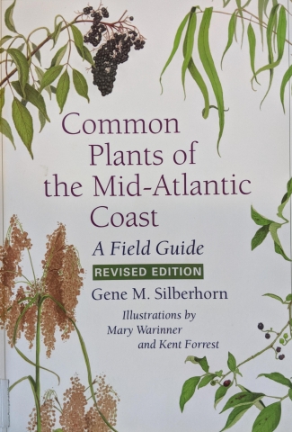 Common plants of the mid-Atlantic coast