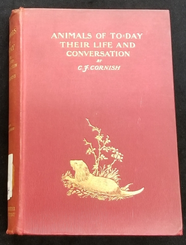 Animals of To-day - Cover