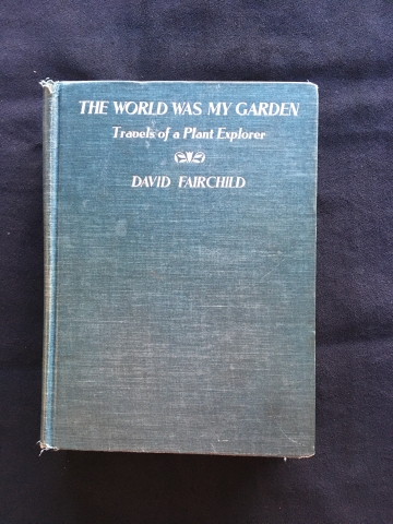 Cover of The World was my garden