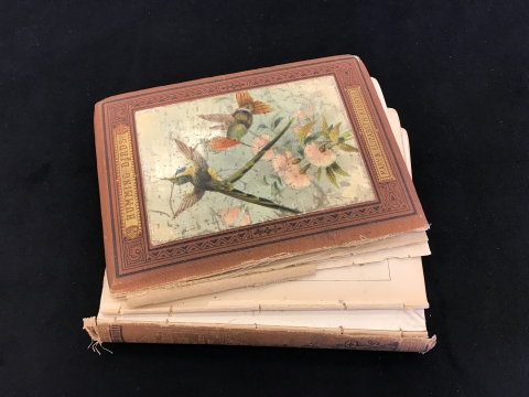 Humming-birds Cover with damaged spine