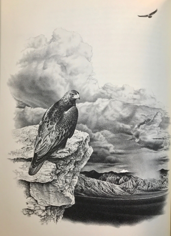 Golden Eagle Country, illustration