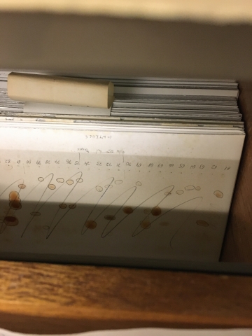 Thin-layer chromatography glass plates of lichen specimens from the Mason E. Hale, Jr. Papers