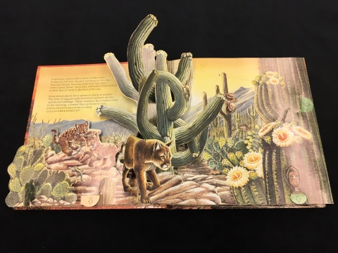 Pop up depicting animals and flora in Arizona's Sonoran Desert