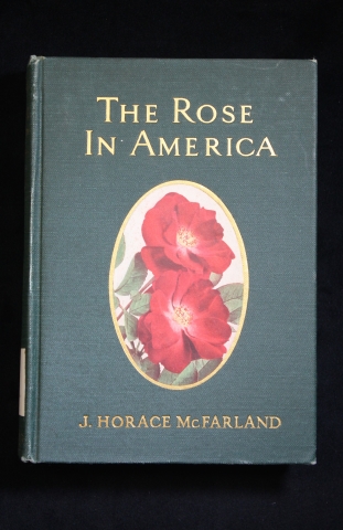 Cover of The Rose in America