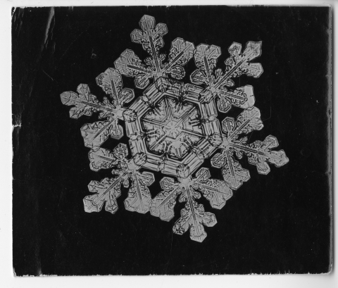 Photomicrograph lantern slides of snowflakes prepared for a lecture at the Brooklyn Institute of Arts and Sciences, Wilson