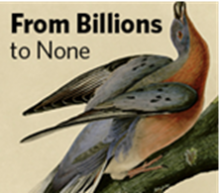 "From Billions to None" Film Showing & Lecture