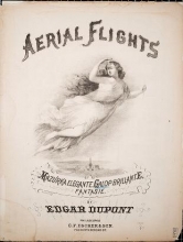 Cover of Aerial flight