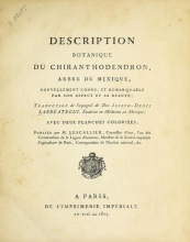 Cover of Description botanique du Chiranthodendron